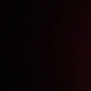 Meet your Posher, Riley